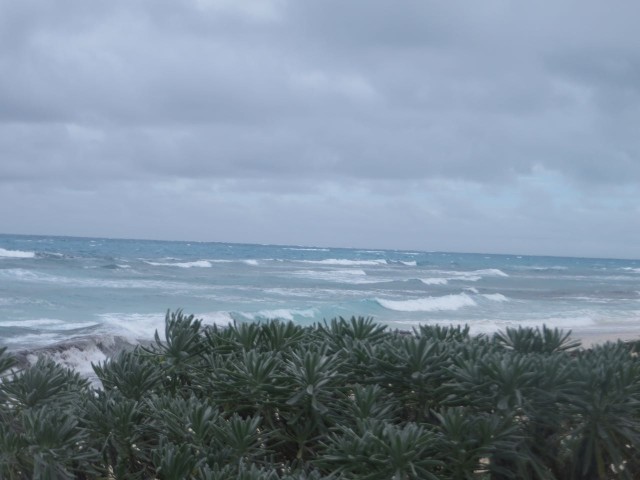 The surf was BIG due to many days of strong winds. 