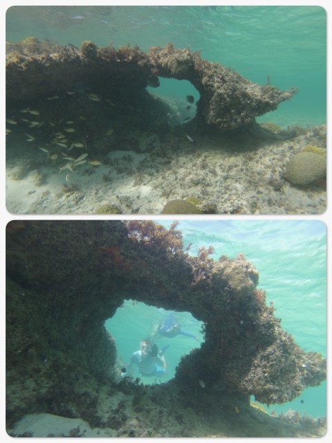 Dan had an underwater "go pro" camera and took a few photos of this coral arch near Johnny's Cay.