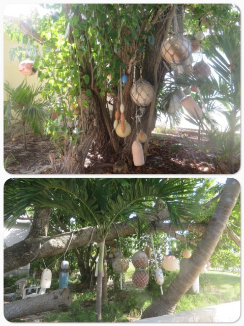 A form of yard decorations - plastic floats, somewhat reminiscent of the old Japanese glass fishing floats, but certainly not as pretty.