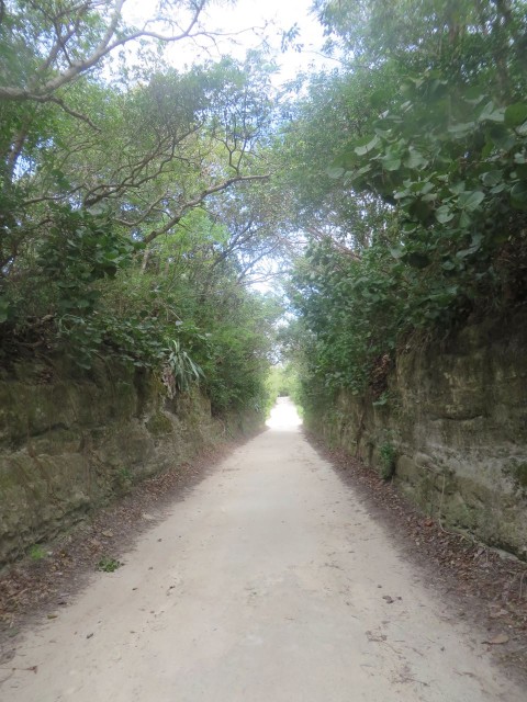 The road to Coco Bay from White Sound impartially cut through a section of limestone rock.