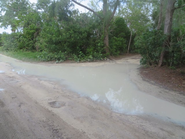 Proof that we have been experiencing some rains here in the Bahamas..... Quite a puddle in this road. And yes, that is a road.