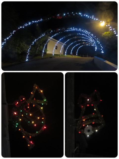 The town of New Plymouth also gets decked out for the holidays. Lighted arrangement on every pole and a wonderful festive "tunnel" that we passed through on our way into town. 