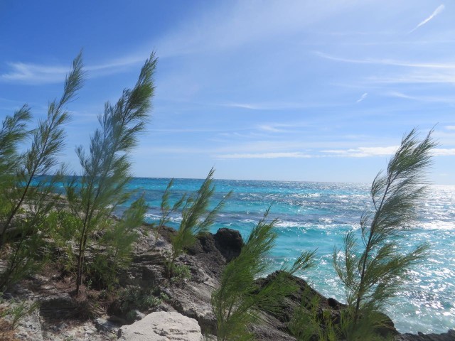 Overlooking the ocean from East Point. 