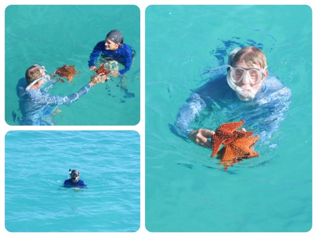 Al found several starfish and brought them the surface for me to see. 