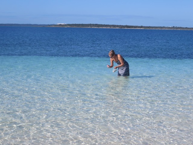 Is it still called beach combing when you are in the water?