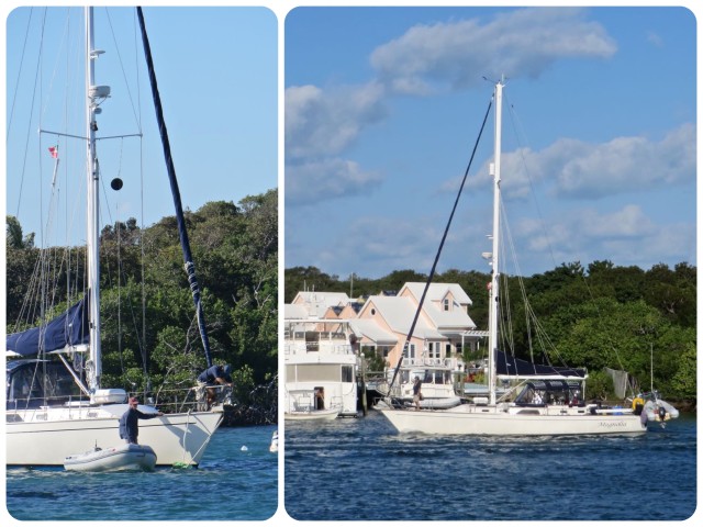 Magnolia entering the crowded harbor. Al handing off the mooring lines to Anthony. We all feel better knowing they are safely secured and can rest after their salty travels.