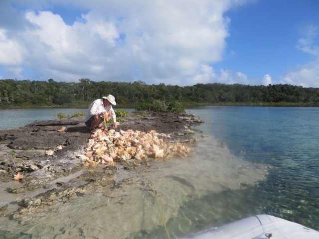 I talked Al into dinghying close enough to climb onto the rocky little island and pick out a few shells.