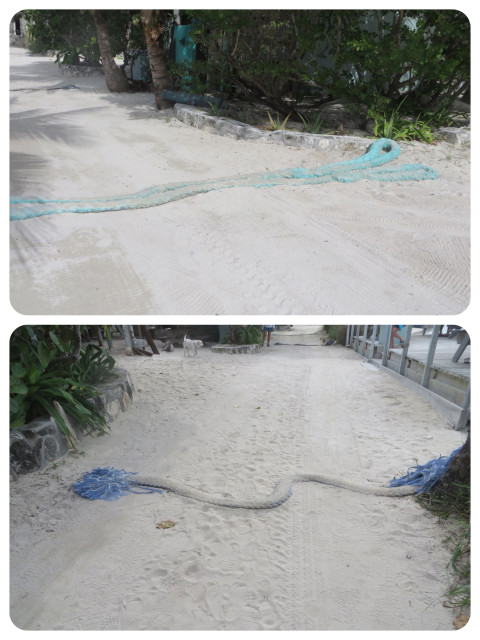 Walking down the road in Little Harbour -- Bahamian style speed bumps.