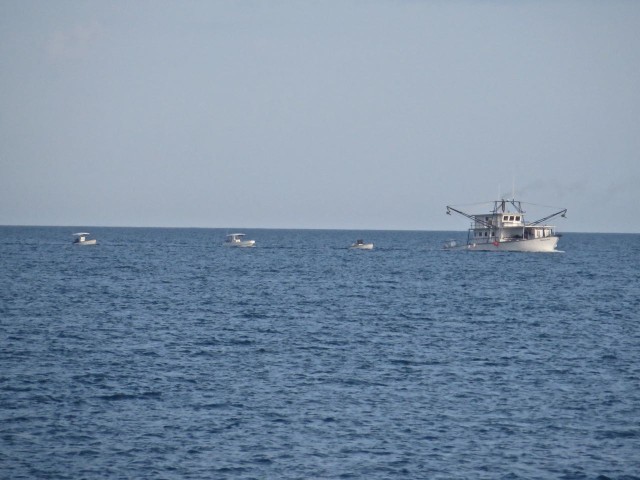 We didn't see many other boats, but we couldn't miss this one, even at a distance. Zoomed in you can count 4 little boats getting towed behind the bigger one. AL said he could see shrink-wrap other biminis. New ones going to market?