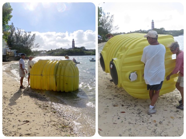 From sea to land. I wonder how many septic tanks have had an adventure like this?