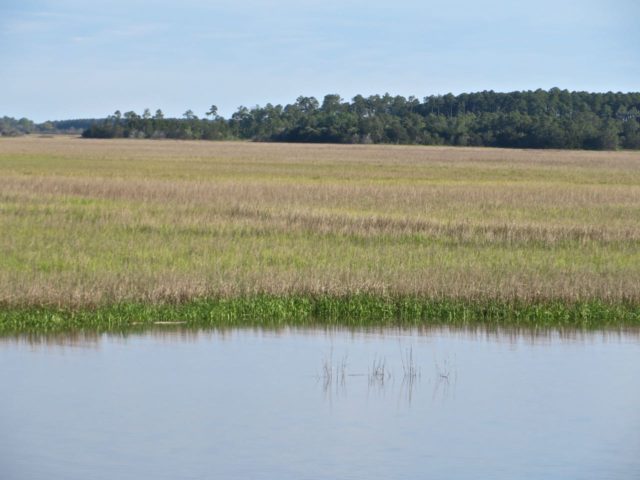 The marshes can be quite lovely in the right light.