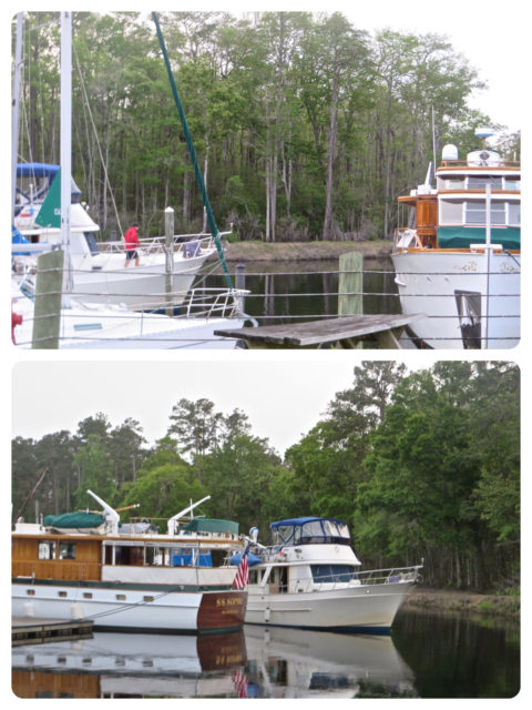 I managed to take couple pictures before Annette and I ran over to the other dock to catch the lines when they arrived.