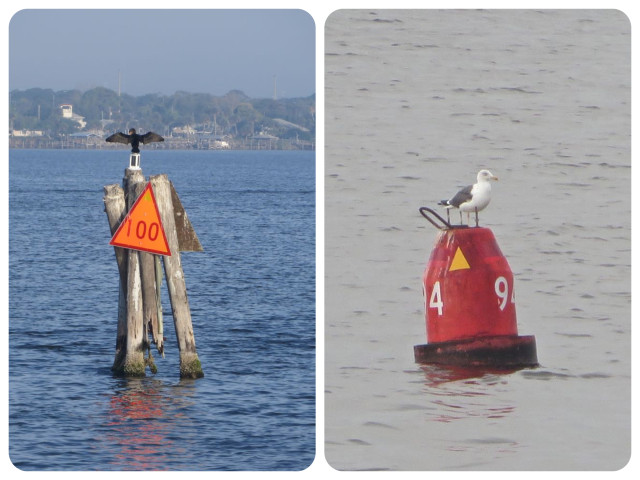 birds on the red markers.