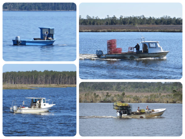 It's fun to watch the variety of local fisherman and crabbers out on the water, doing their thing.