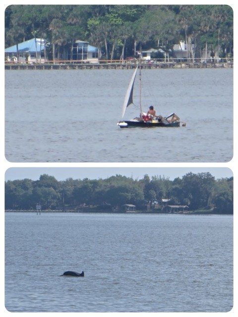 We are seeing lots of dolphins every day, but rarely get a good photo of them. This was an unusual little boat -- sailing canoe with a large load.