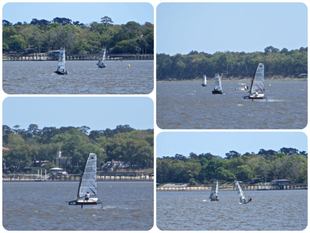 Coming around the tip of Charleston by Battery Park, we saw these very fast little sailboats that get up above the water's surface and speed! 