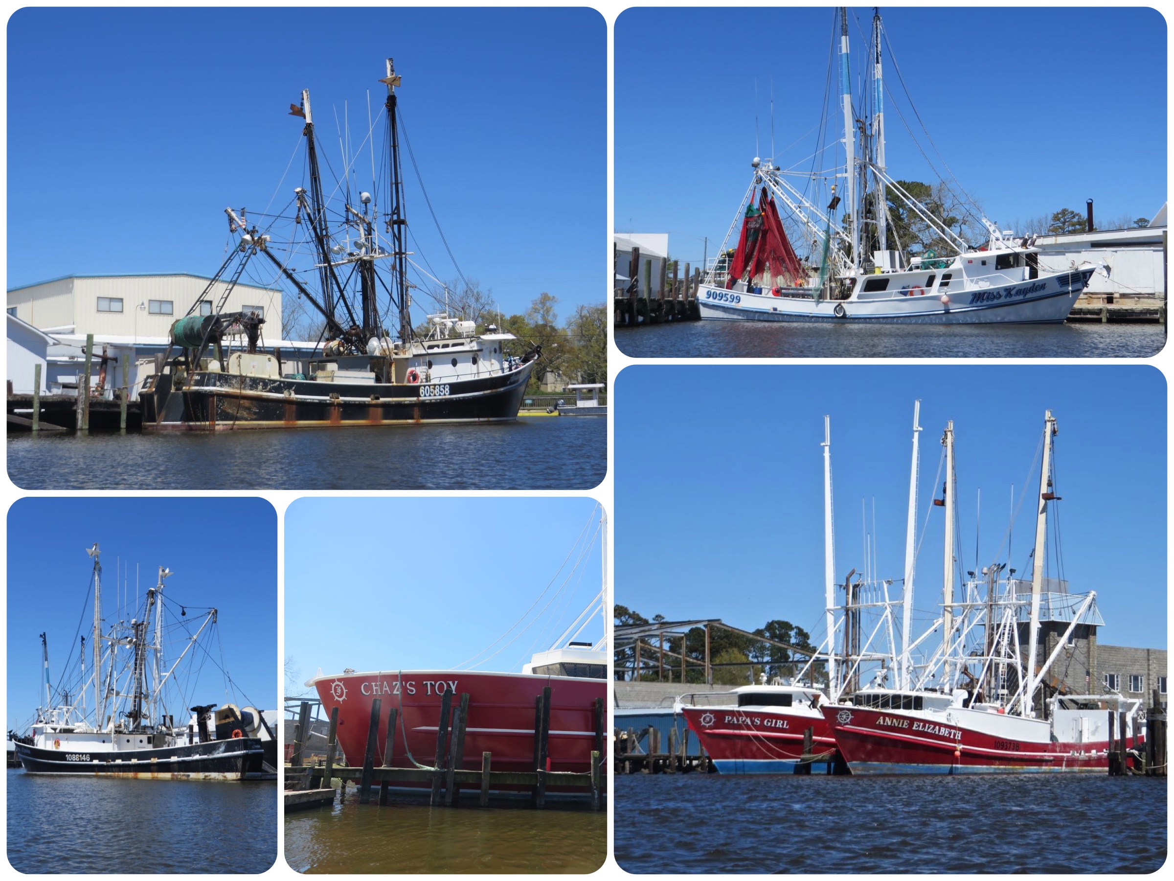 For a small town and harbor, there are a lot of fishing trawlers here. 