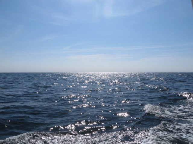 Some moments of sparkling water on the Chesapeake Bay.