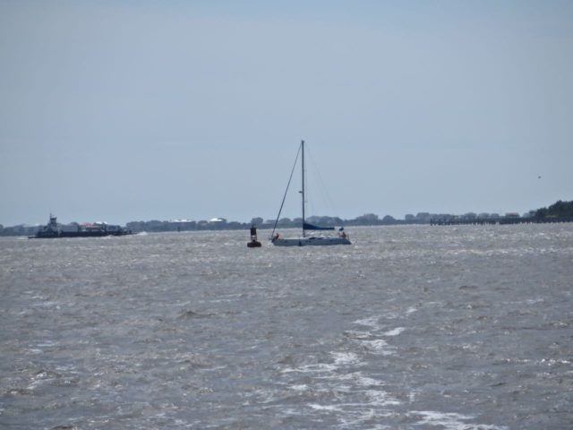 This sailboat was having some trouble In the middle of the river. His anchor had fallen off the bow near the red nun, and a large barge was heading northward. We could hear them communicating on the VHF. to avoid any possible collision. 