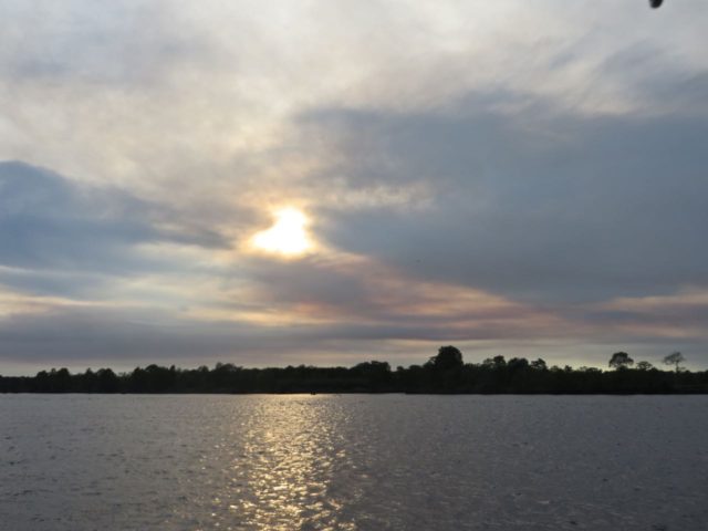 Our anchorage for the night, just off the ICW in Butler Creek. All alone, just us and the sound of the birds. 