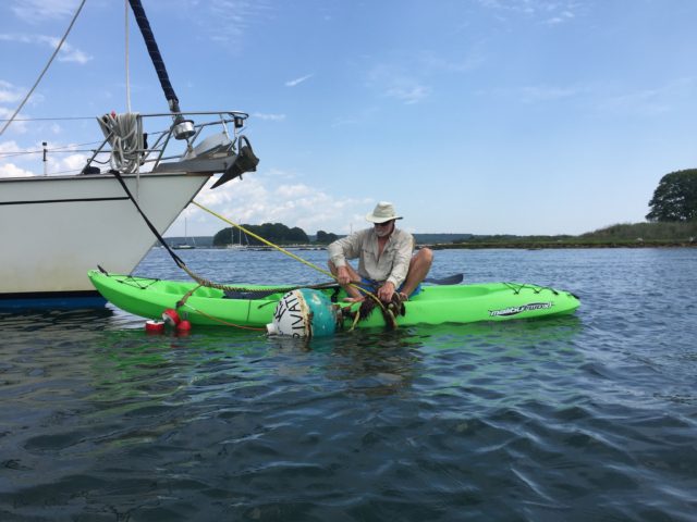 Al and ball wrap – Our mooring comes with amenities. Al takes care of “ball wrap” when it occurs. While we out kayaking, he noticed that Magnolia’s lines were tangled on the mooring, a condition we refer to as “ball wrap.” That chain and tackle is very heavy. He struggled with it and finally won, with only a single mishap. Yes, when he let go of the freed chain, the force tipped the kayak and into the water he went!