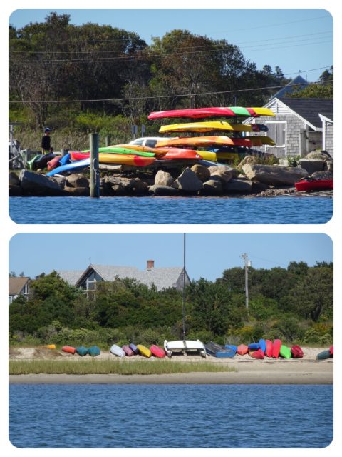 Kayaks available for rent or use at both ends of Salt Pond.