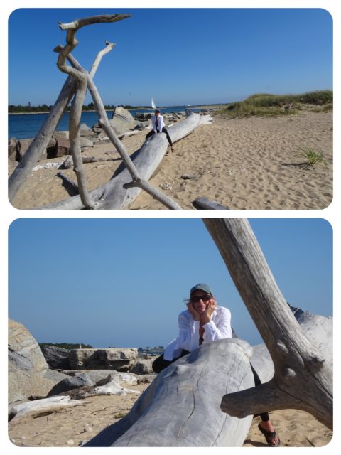 I climb upon a larger driftwood "sculpture."