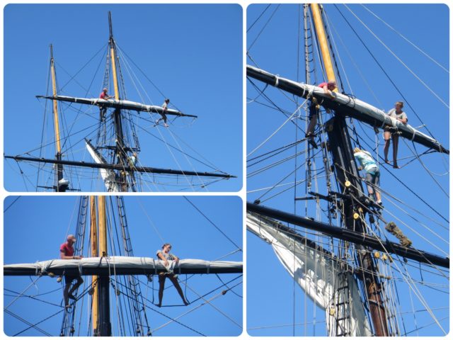 Back in the harbor, we had an amazing view of the Oliver Hazard Perry as the crew put the seals away. What a job! High up there int he rigging, hanging and working. Talk about training!