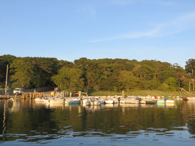 Whooooa! The dinghy dock has certainly become much more crowded since our last time, 4 years ago. 