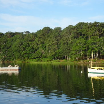 Lake Tashmoo, a Peaceful Harbor
