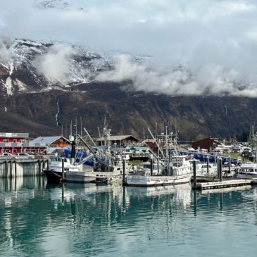 Valdez, Alaska –  “Black Gold” and Ice